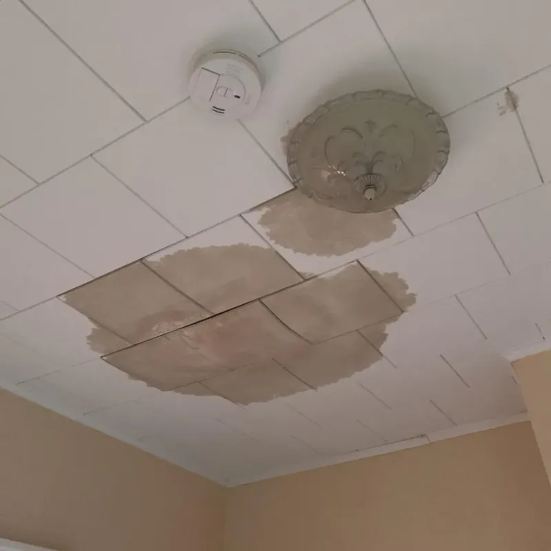 Ceiling Water Damage Repair in Sherburn, MN
