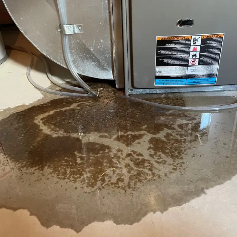 Pipe Burst and Leak Restoration in Sherburn, MN